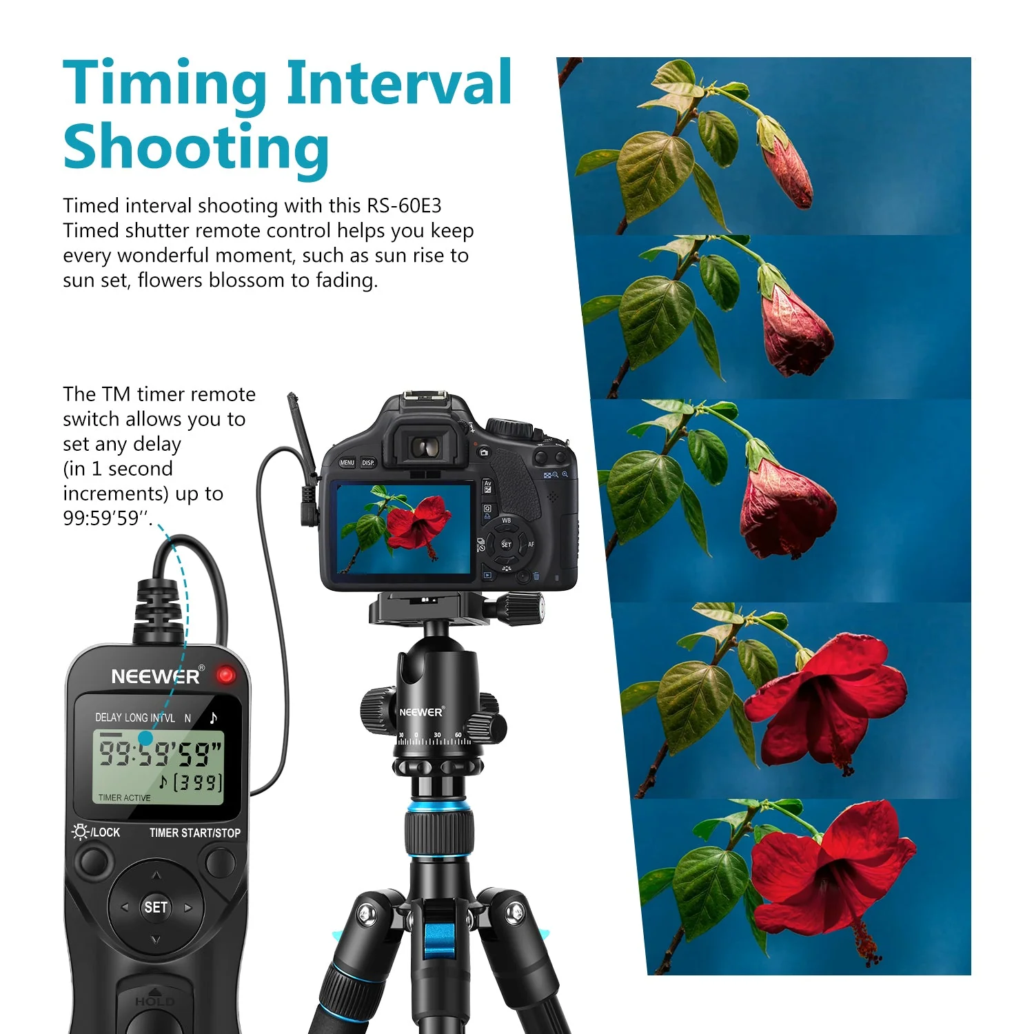 NEEWER LCD Timer Blitzauslöser Fernbedienung für Canon/Contax/Pentax - Image 6